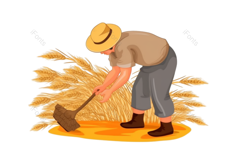 插画图片,丰收元素,麦穗PNG,小麦免抠素材